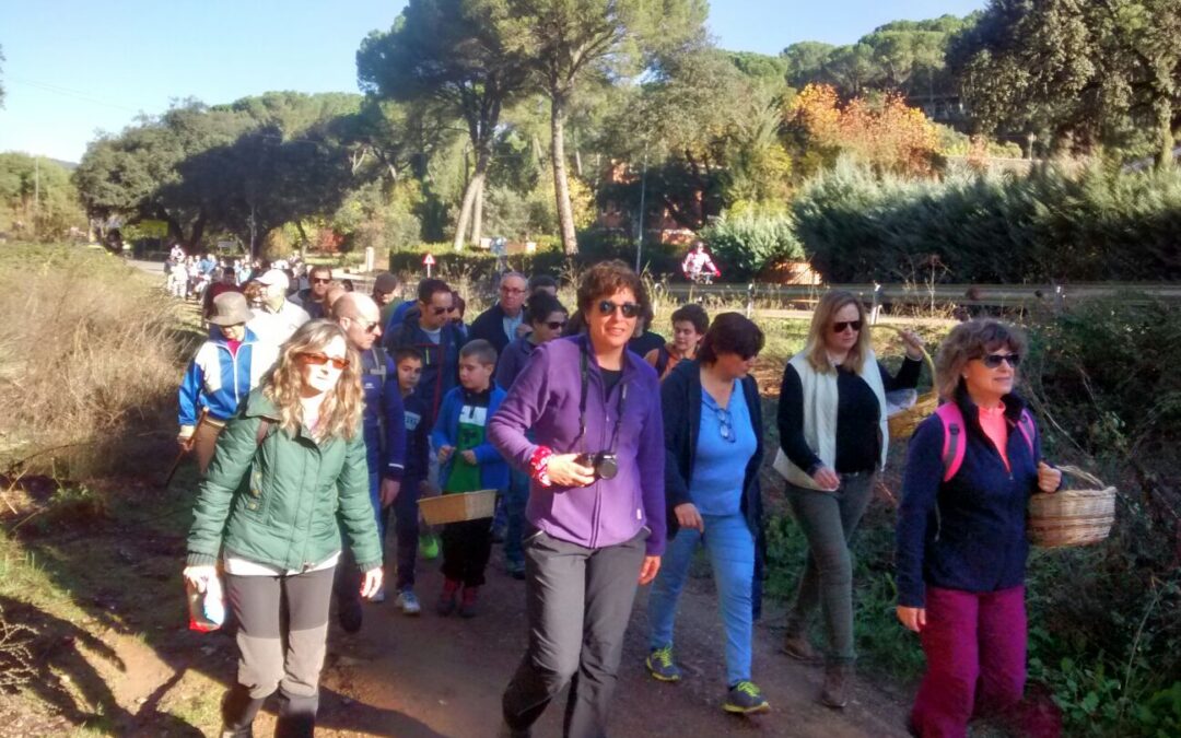 JORNADAS MICOLÓGICAS DE ADAMUZ