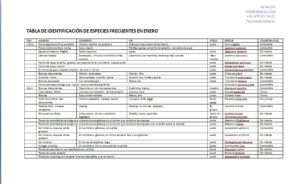 tabla de identificación de setas de febrero Setacor