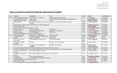 Claves para identificar los hongos de febrero