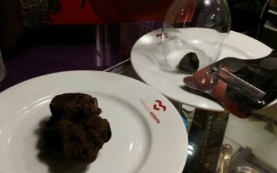 Recolección de trufas