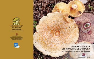 DESCARGA GRATUITA DE LA GUIA MICOLOGICA DE LA SIERRA CORDOBESA