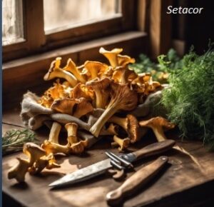 como usar las setas deshidratadas en la cocina