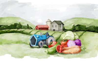 CURSO RECONVERSION AGRICULTURA ECOLOGICA