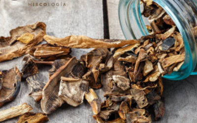 mercado de productos ecológicos en Córdoba