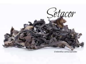 Trompeta negra ecológica de Setacor