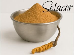 Cordyceps eco en polvo Setacor
