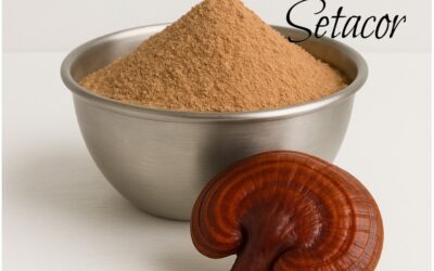 Métodos naturales para estimular el sistema inmune