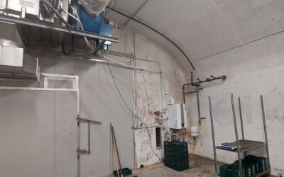 ¿CUANTO ESPACIO NECESITO PARA COMENZAR UN CULTIVO RENTABLE DE SETAS?