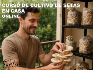 CURSO DE CULTIVO DE SETAS EN CASA
