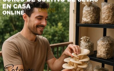 Curso de cultivo de setas en casa