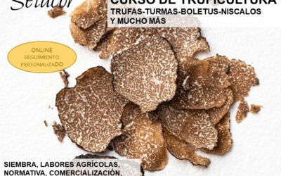 Curso de Cultivo de Trufas, Níscalos, Boletus y Trufas del Desierto: De la Tierra al Mercado