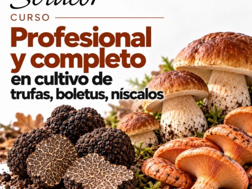 Curso para emprender un negocio de truficultura, boletus, niscalos, etc