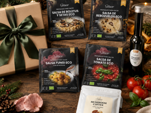 Lote cesta de Navidad de Setacor con salsas de setas, café funcional y AOVE