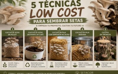 5 técnicas Low Cost para sembrar setas (y empezar tu propio negocio)