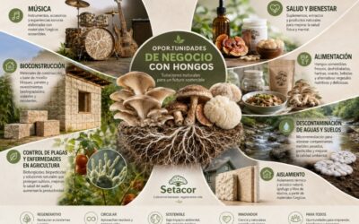 Oportunidades de negocio en el cultivo de hongos