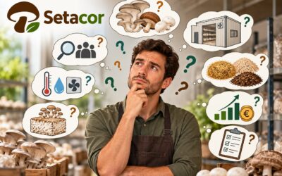 Errores al empezar un cultivo profesional de setas